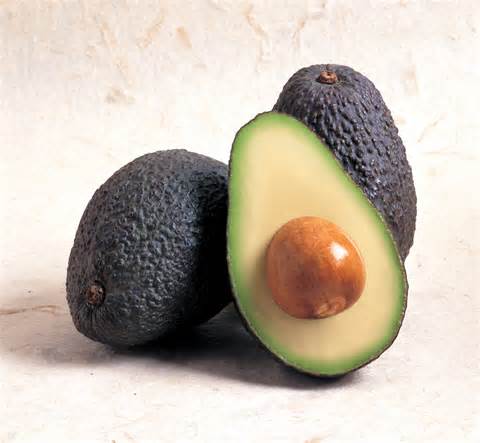 avocado 2